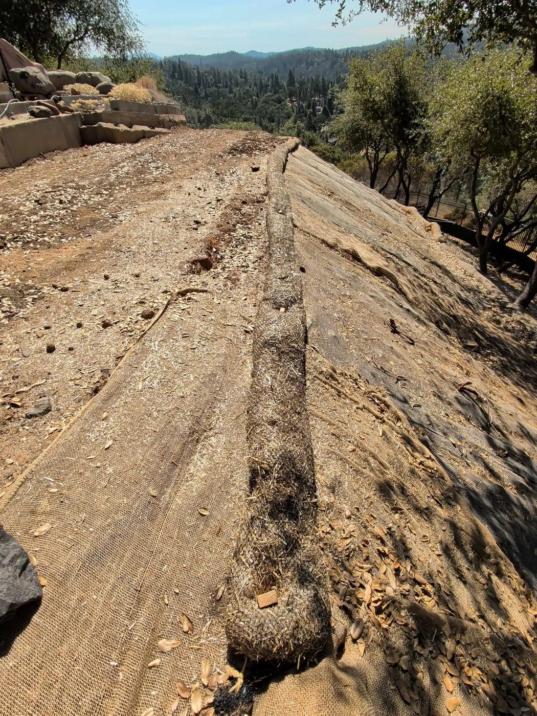A slope cleared and the cuttings chipped down